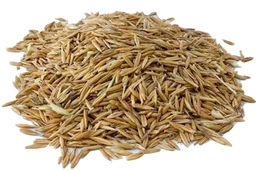 Avena de La Molinera