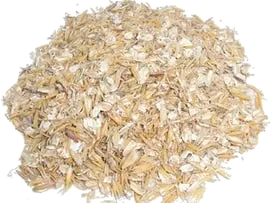 AvenaPlas de La Molinera