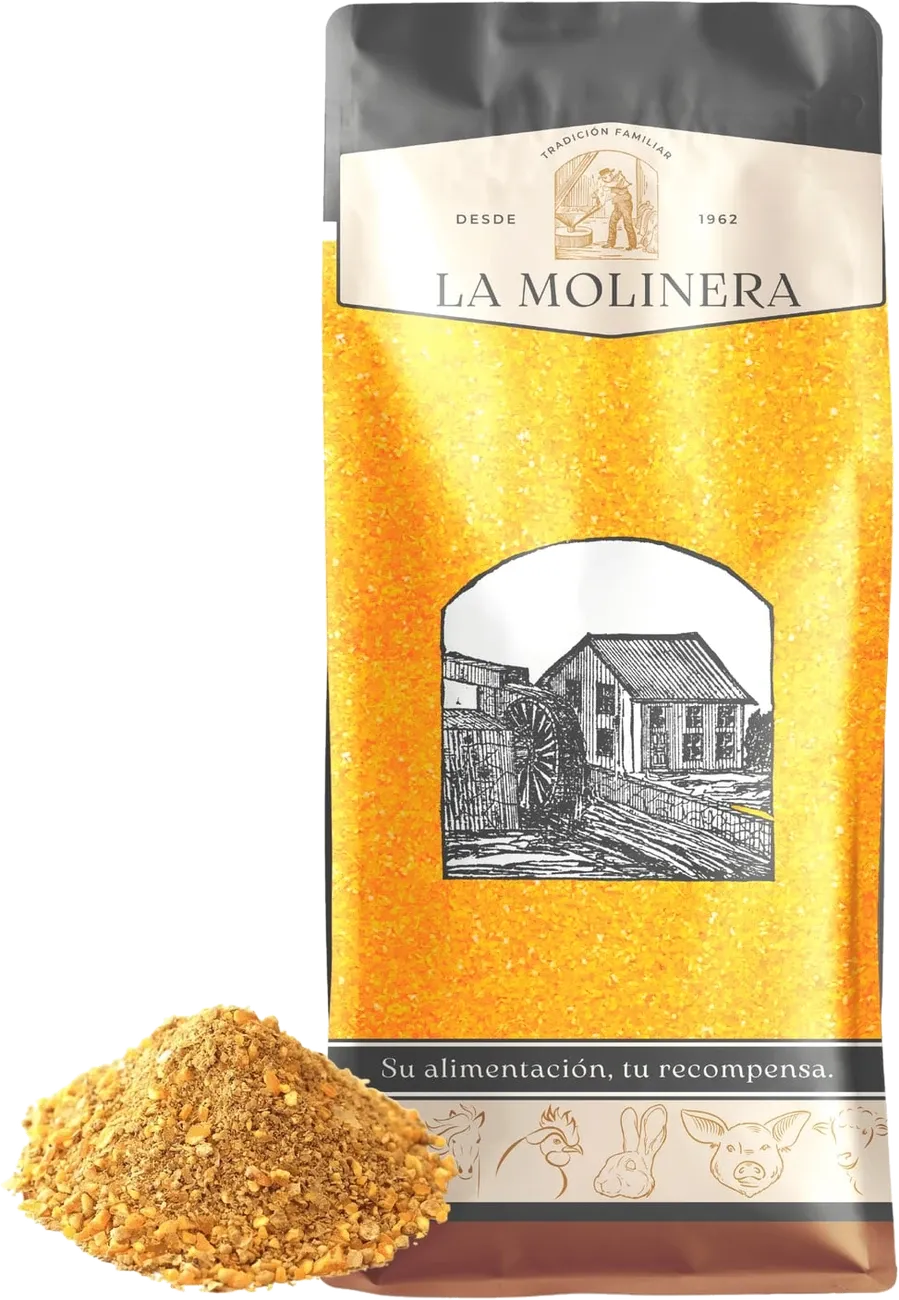 Ponedora de La Molinera