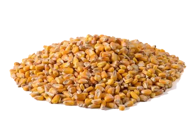 Maíz en grano de La Molinera