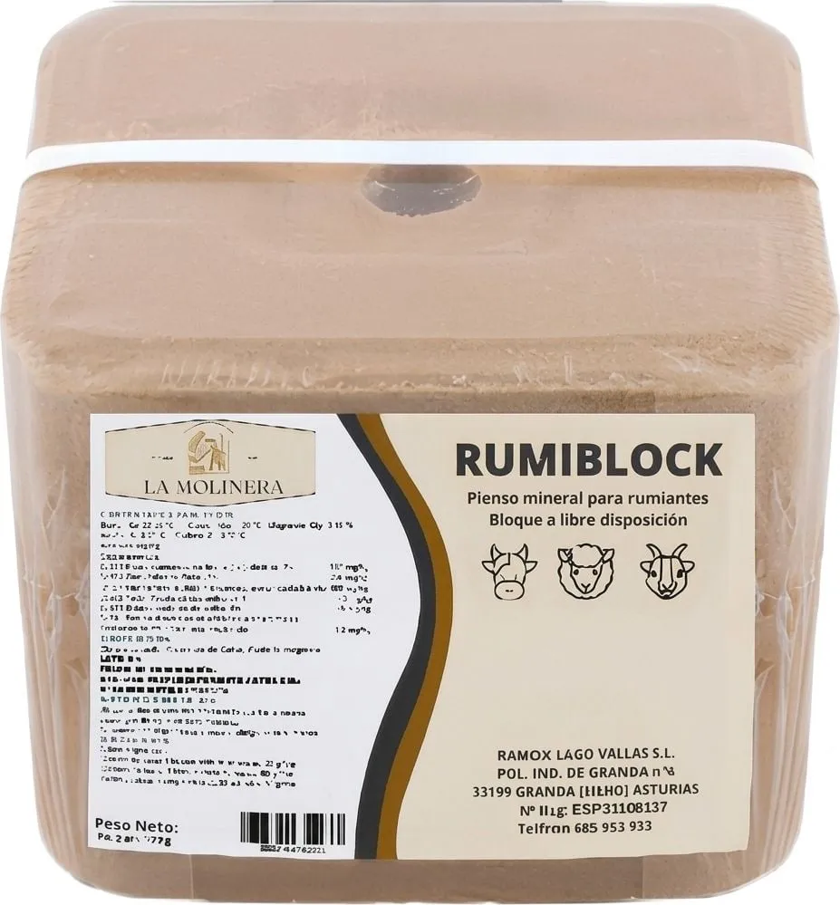 Rumiblock de La Molinera