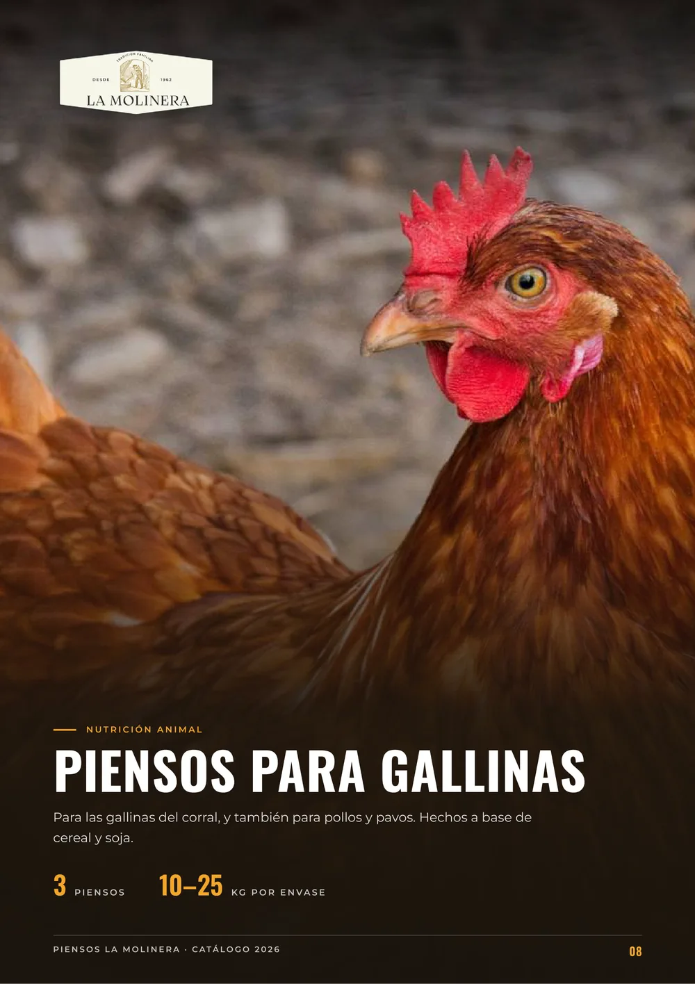 Página 8 del catálogo