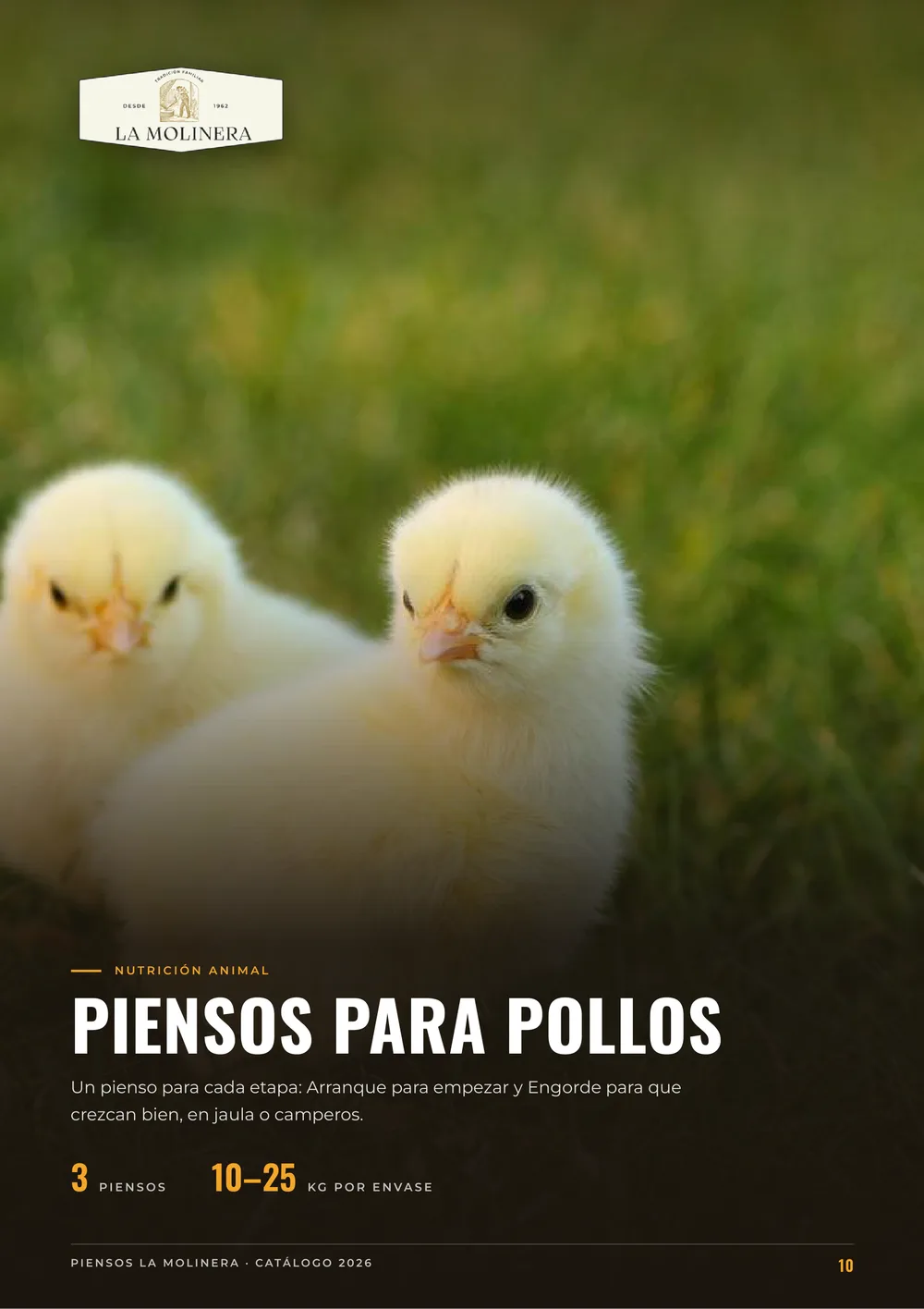 Página 10 del catálogo