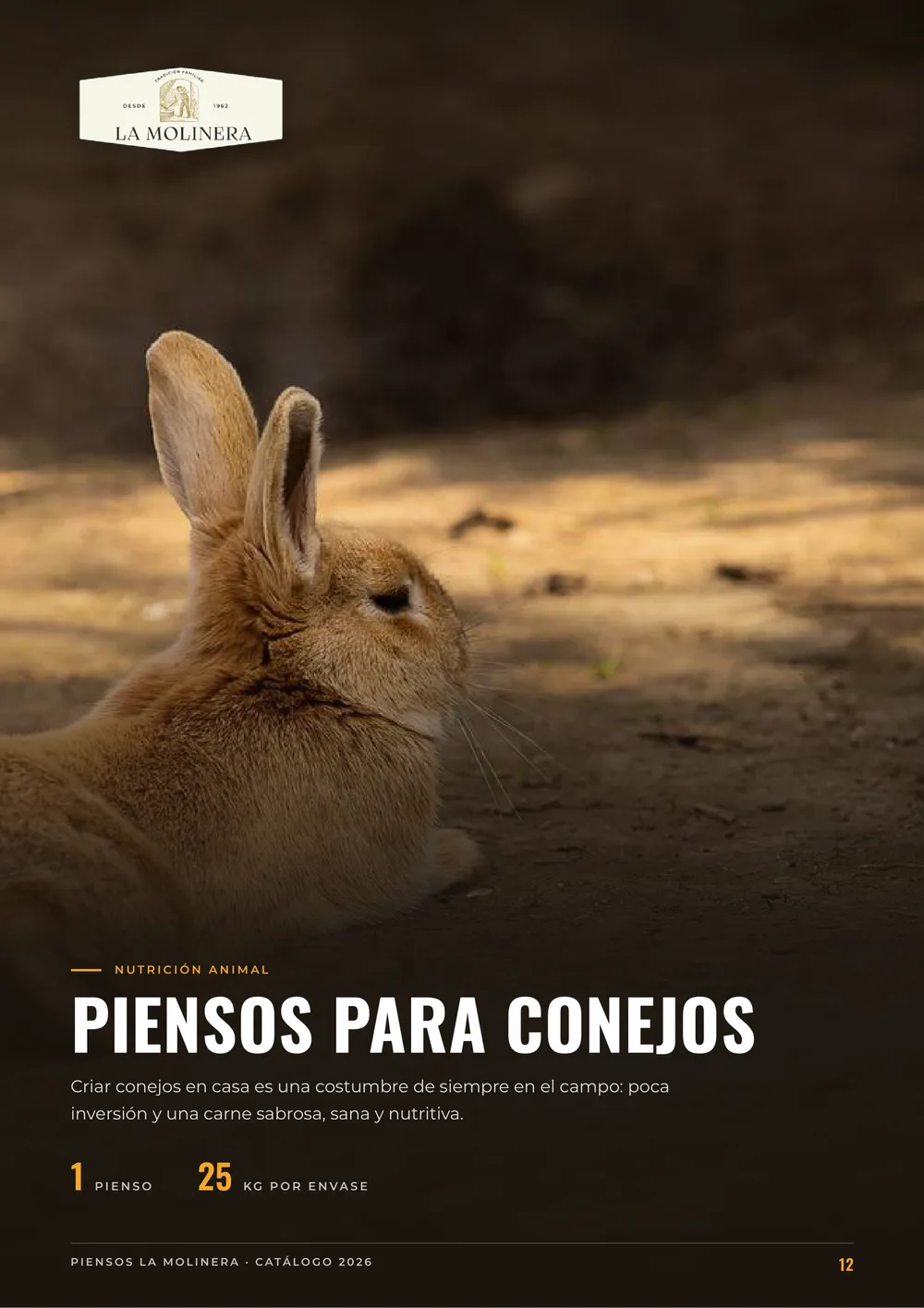 Página 12 del catálogo