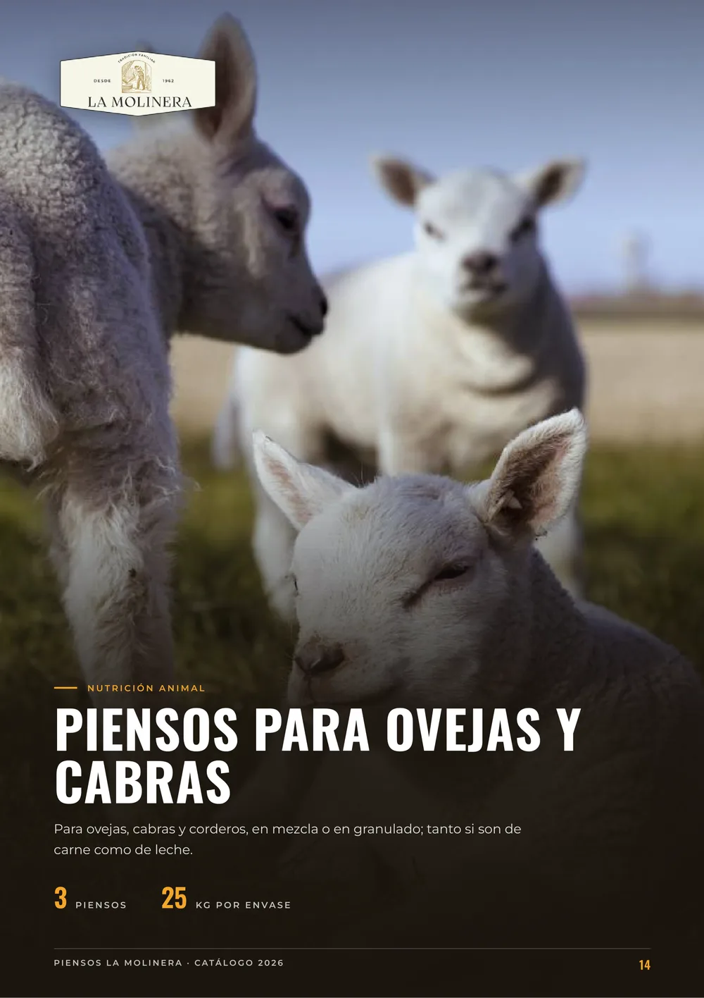 Página 14 del catálogo