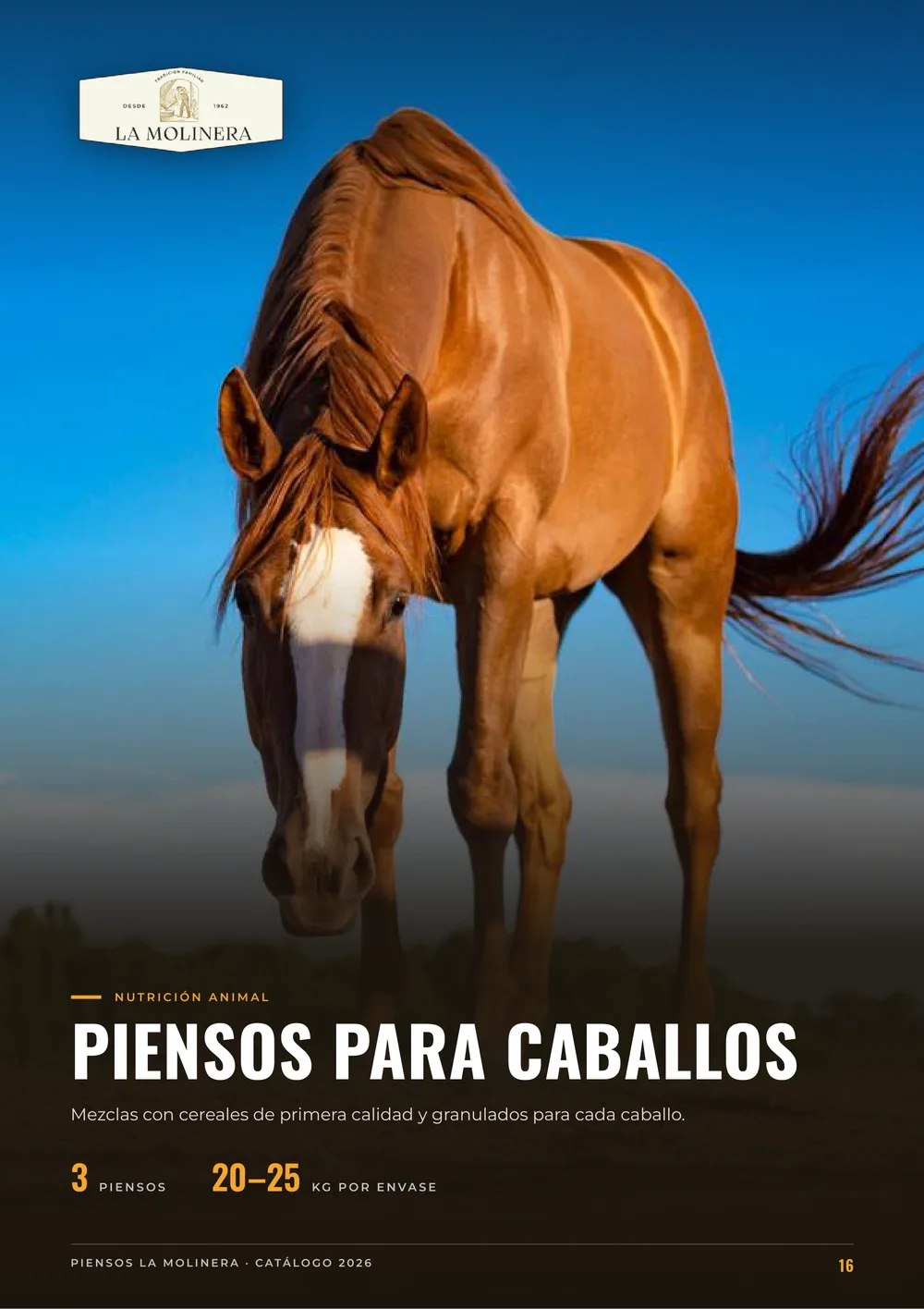 Página 16 del catálogo
