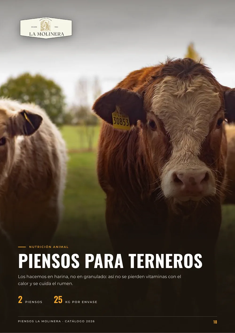 Página 18 del catálogo