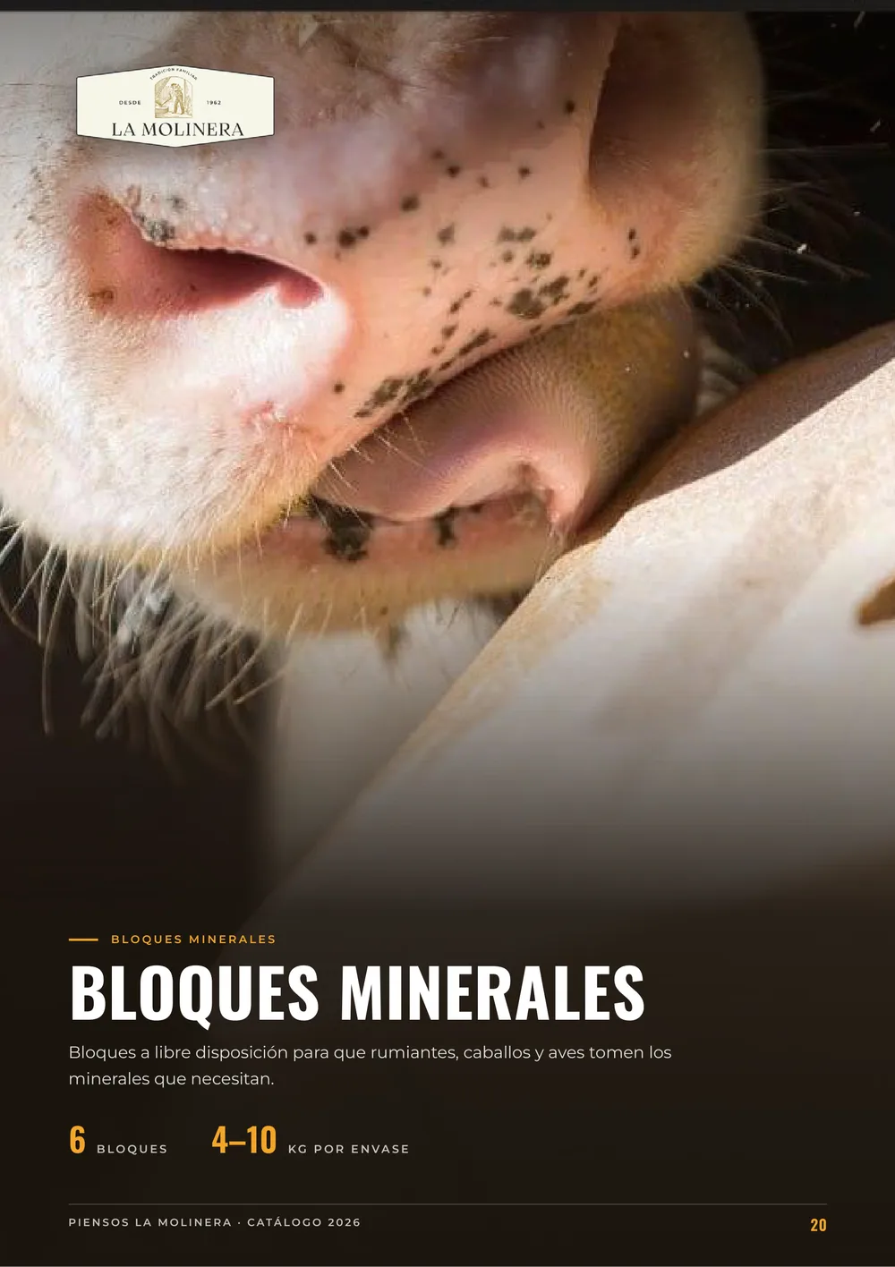 Página 20 del catálogo